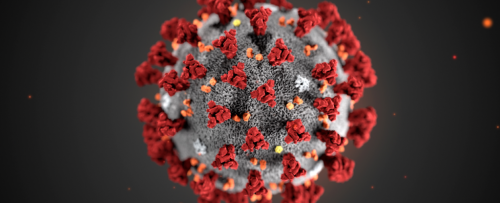 Коронавирус 2019-nCoV  скоро будет объявлен пандемией