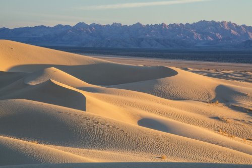 Песчаные дюны способны «общаться» друг с другом – Учёные