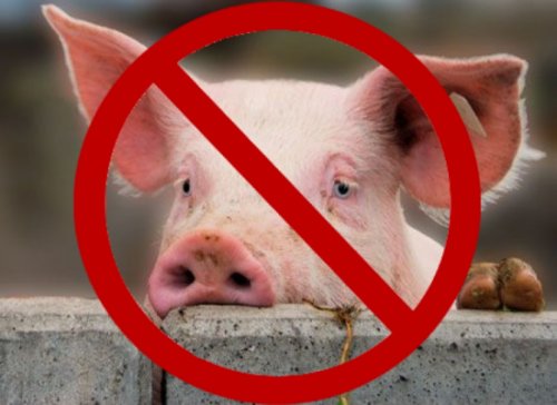 Африканская чума свиней убивает сотни свиней на Бали