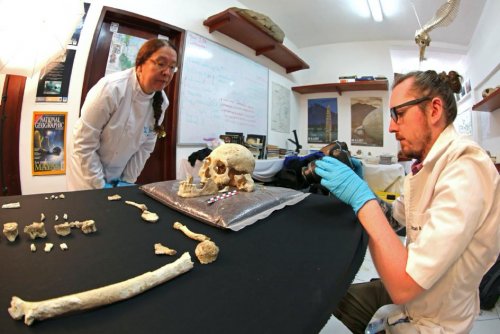 Человеческий  череп возрастом 9900 лет рассказал о первых поселенцах  Америки