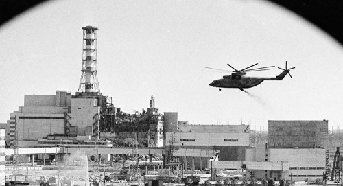 Гриб из  Чернобыля может защитить от смертельных солнечных лучей
