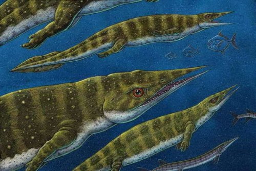 «Аляска открывает тайны»: Учёные нашли там неизвестного ранее динозавра