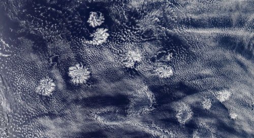 Спутник передал  снимки таинственного образования облака