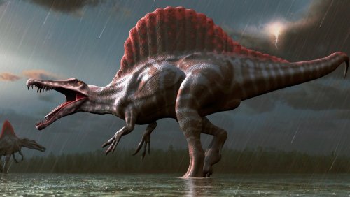 «На очереди человек?»: Динозавры вымерли из-за изменения орбиты Земли