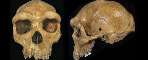 «Призрак» неизвестного вымершего человека был обнаружен в ДНК современных западноафриканцев