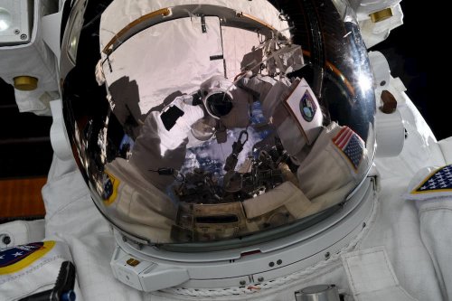 Есть шанс отправиться на Луну: NASA нанимает астронавтов