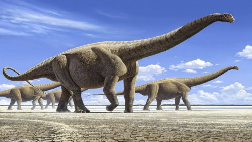«Древние динозавры были теплокровными!»: Весь секрет в скорлупе яиц – Учёные ошарашены