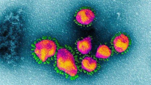 Китайские эксперты назвали коронавирус причиной внезапных сердечных приступов
