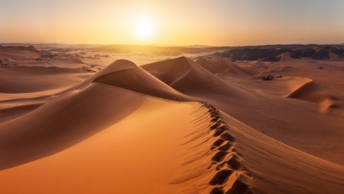 В пустыне Сахара ранее обитали сомы и телапии