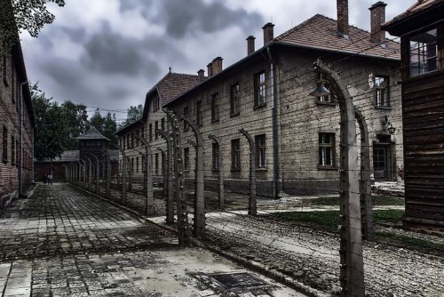 Опрос: трое из четырех поляков знают, что советские войска освободили Освенцим