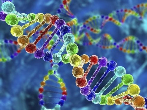 Древняя ДНК из Сардинии раскрывает 6 000 лет генетической истории