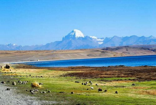 Экосистема Тибета находится на грани краха: Семена растений перестают выживать