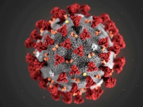 Италия и Иран возглавили список стран по распространению коронавируса