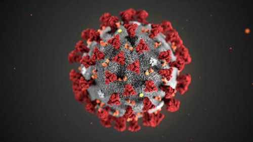 «Победим!»: Химики обещают полностью блокировать коронавирус