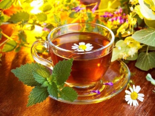Травяные чаи избавят от простуды и гриппа