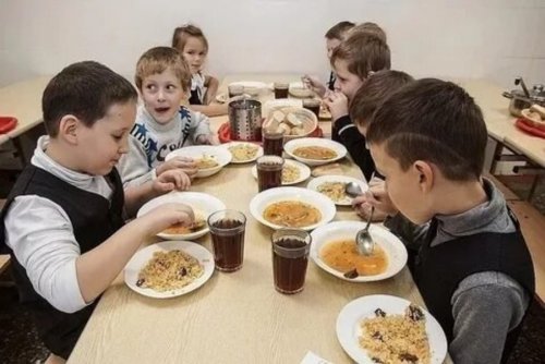 Волгоград готов бесплатно кормить школьников уже с 1 сентября этого года