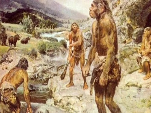 Сибирские неандертальцы произошли из различных европейских популяций