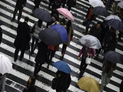 На Японию обрушился таинственный черный дождь