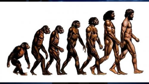 Рисунок эволюции человека является обманом