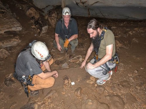 Редкая погребальная пещера Габона раскрывает тайные страницы истории Африки