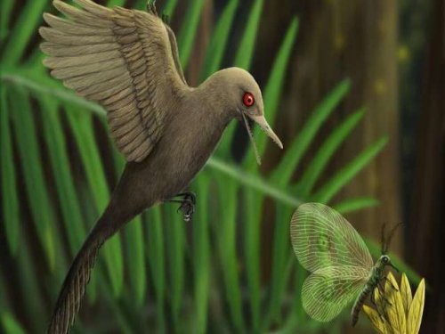Открытие самого маленького из известных мезозойских динозавров раскрывает окно в мир древних животных