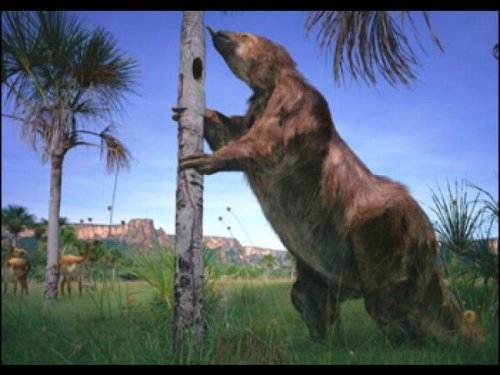 «Южноамериканский йети»: гигантское существо жило 10 000 лет назад