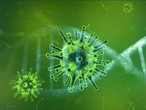 В Роспотребнадзоре объяснили отличия гриппа от коронавируса