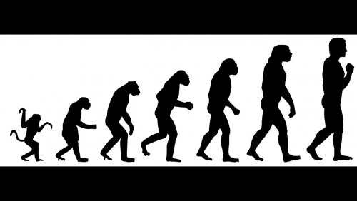 «А Дарвин был прав!»: Его теория эволюции подтверждается