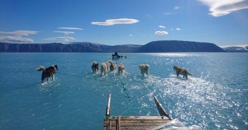 Антарктида и Гренландия потеряли 6,4 триллиона тонн льда - NASA