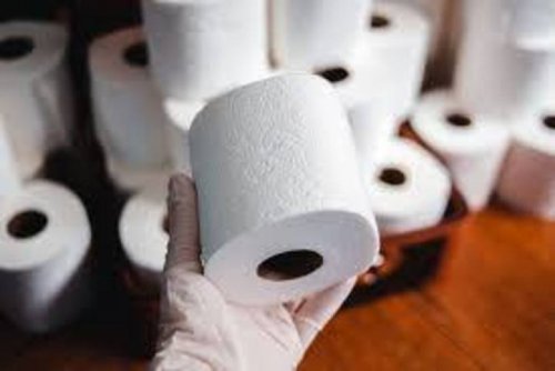 «Не ищи приключений на свою задницу»: Туалетная бумага должна быть правильной