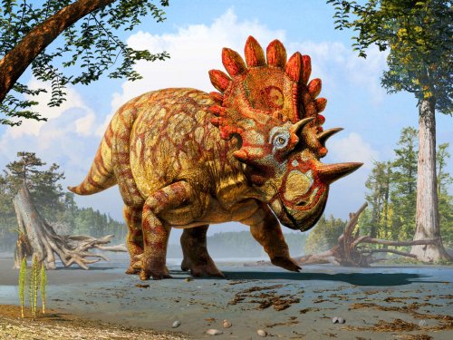 В Нью-Мехико обнаружен новый вид динозавров