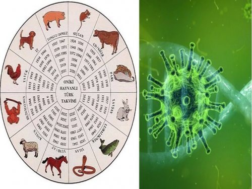 Древний календарь предсказал коронавирус и другие бедствия в 2020 году