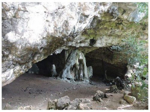 Ученые обнаружили  наскальные рисунки в пещере Тимора-Лешти,  Австралия