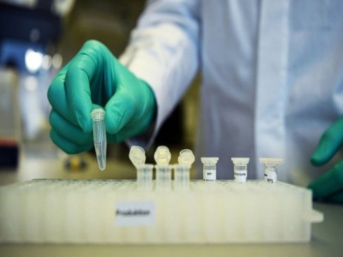 Предъявите документы! Германия выпустит «сертификаты иммунитета» на коронавирус