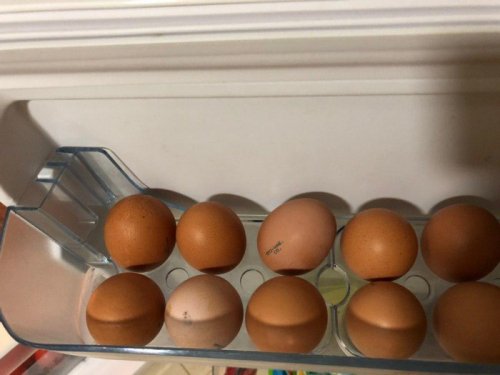 Яйца имеют удивительные полезные свойства