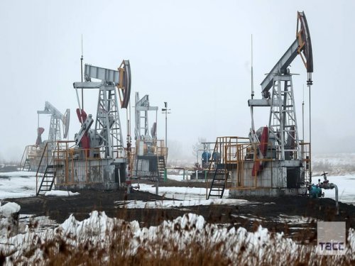 Большинство стран ОПЕК готовы сократить добычу нефти
