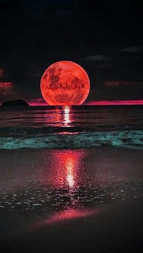 Самая яркая «кровавая» Луна взойдёт ночью в среду