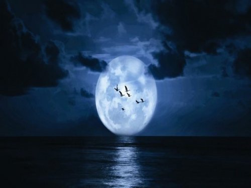 НЛО, парящие над Луной, завладели вниманием пользователей и вызвали споры