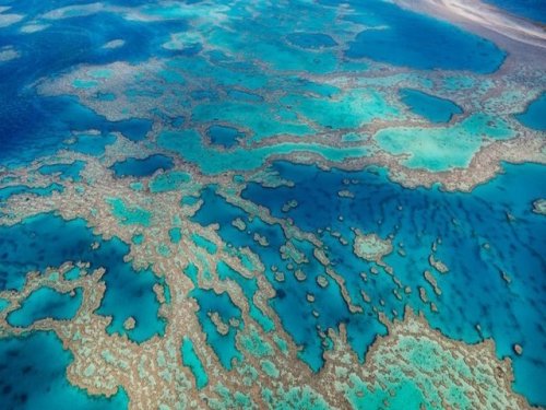 Исследование показывает, что в ближайшие 10 лет тропические океаны потерпят крах
