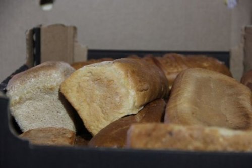 Хлебные отходы стали основой в пробиотическом напитке – Учёные