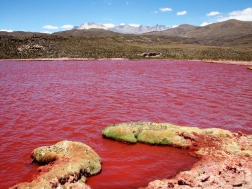 Загадку покраснения  озера в Мексике связывают  с библейским пророчеством «Реки крови»