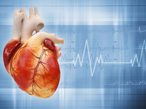 Лечение пострадавшего сердца: российские ученые создали материал для лечения инфаркта миокарда