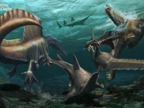 Новые окаменелости вносят много интересных данных в  историю динозавров и спинозавров