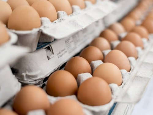 Немецкие врачи знают, сколько яиц можно есть за неделю