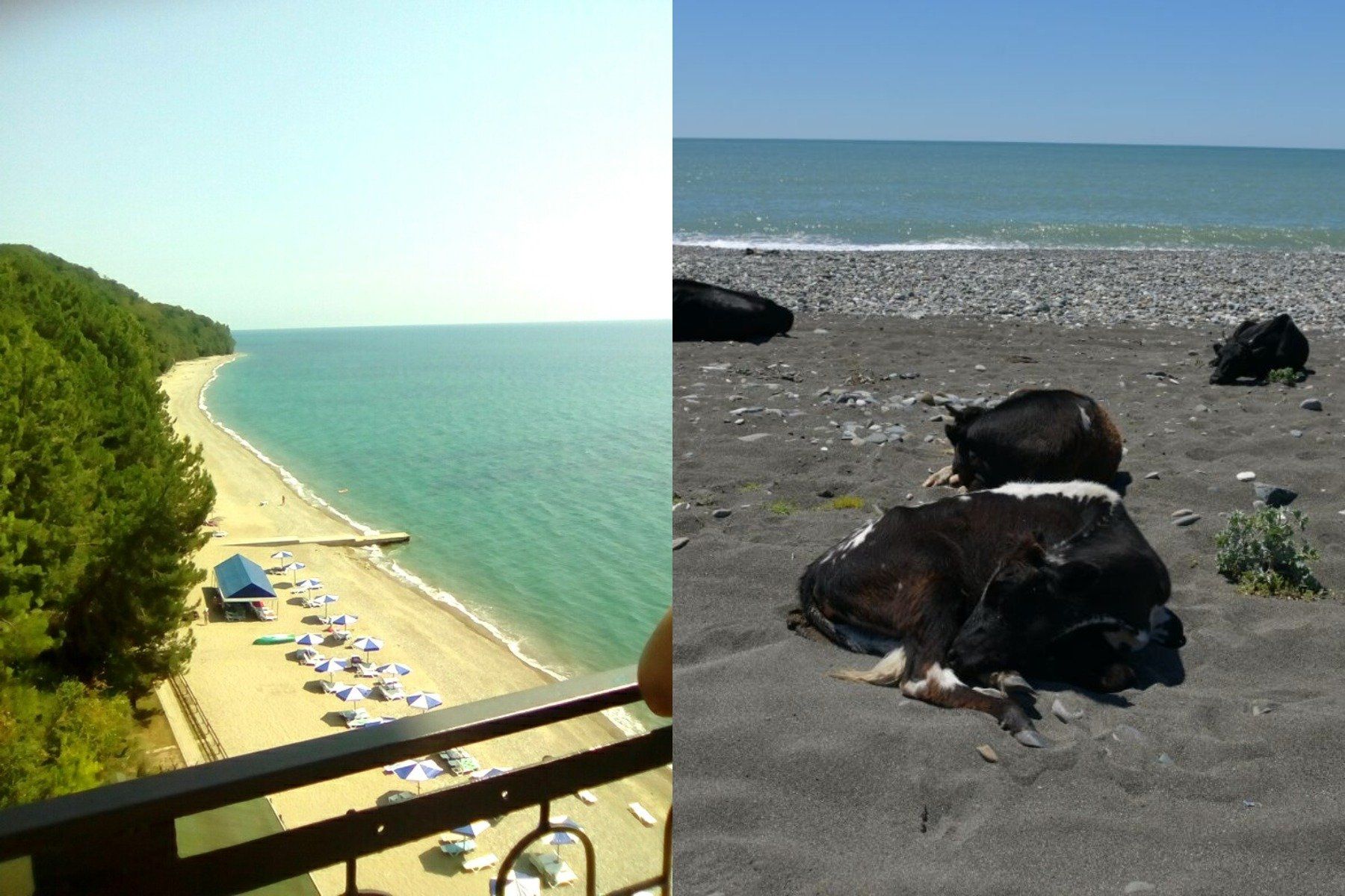Опасно ли в абхазии. Море в Абхазии в июне. Обстановка в Абхазии для туристов сейчас. Теплое ли море в Абхазии в июне.