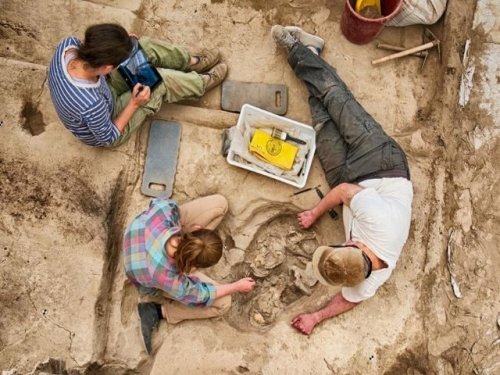 Археологи  раскрывают тайны  8000-летнего доисторического Чатал-хююк