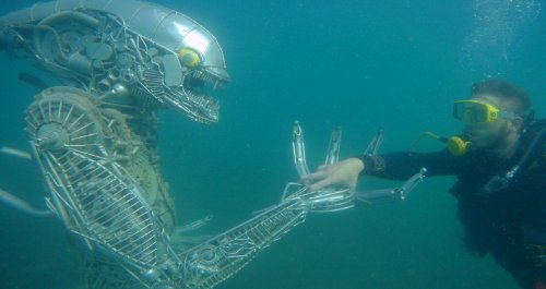 Затонувший «Чужой»: Названы странные вещи, найденные на океанском дне