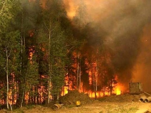Сибирь сегодня снова  охватили пожары