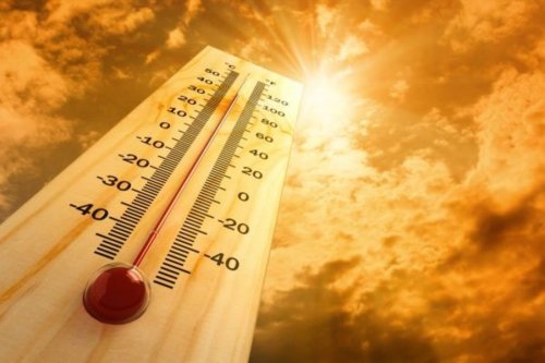 Страшная жара сможет полностью накрыть планету уже в 2070 году – Экологи