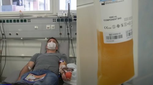 Более 540 доноров из Москвы сдали плазму для заражённых COVID-19